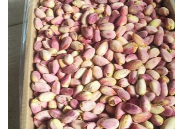 قیمت پسته اکبری + خرید